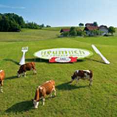Kühe auf grüner Wiese mit Heumilch-Schild, Messer und Gabel. Sonderformen.