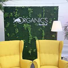 Gastro/Hotellerie: Organics Red Bull Lounge mit gelben Sesseln vor Mooswand.