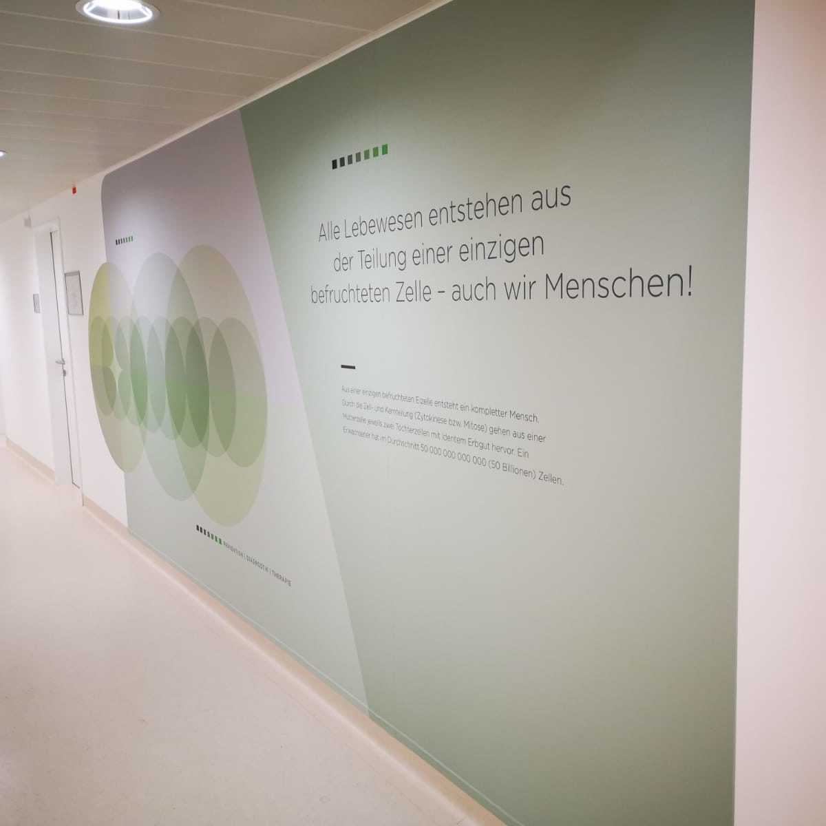 Innenarchitektur: Wandgestaltung mit Zitat über Zellen. Home-Teaserbild.